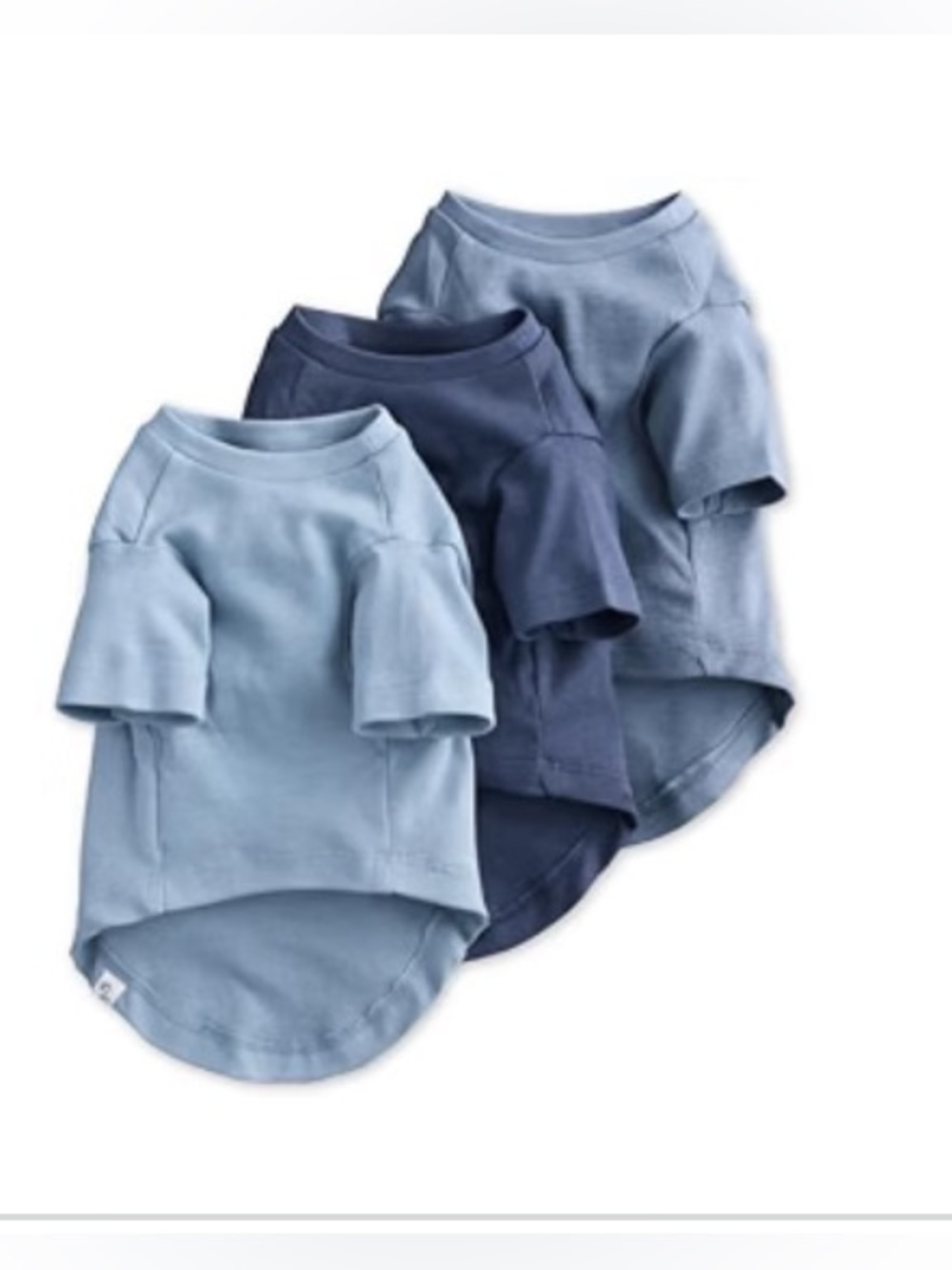 Pet Passion 3-Pack 100% Organic Cotton Dog Short Sleeve T-Shirt Pet Tees XS blue